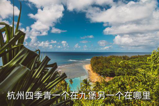 杭州四季青一個在九堡另一個在哪里