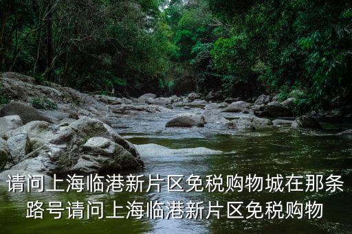 購物城，請(qǐng)問上海臨港新片區(qū)免稅購物城在那條路號(hào)請(qǐng)問上海臨港新片區(qū)免稅購物