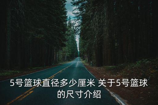 5號(hào)籃球直徑多少厘米 關(guān)于5號(hào)籃球的尺寸介紹