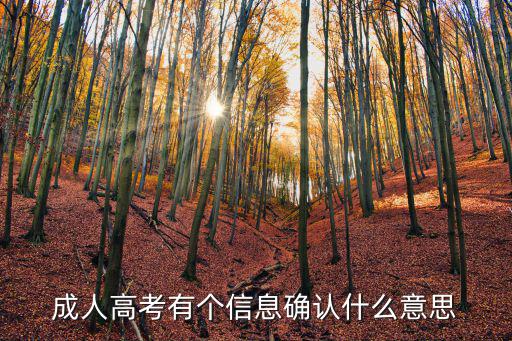 信息確認(rèn)，成人高考有個信息確認(rèn)什么意思