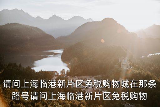 請問上海臨港新片區(qū)免稅購物城在那條路號(hào)請問上海臨港新片區(qū)免稅購物
