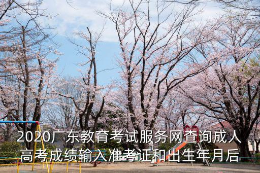 2020廣東教育考試服務網查詢成人高考成績輸入準考證和出生年月后