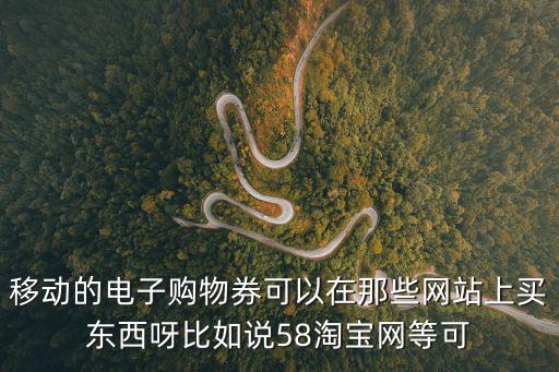 移動的電子購物券可以在那些網站上買東西呀比如說58淘寶網等可