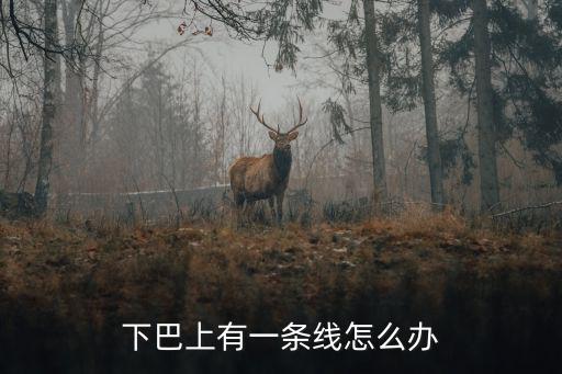 下巴上有一條線怎么辦