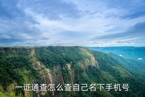 一證通查怎么查自己名下手機號