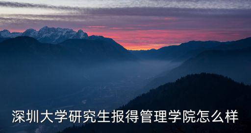 深圳大學研究生報得管理學院怎么樣