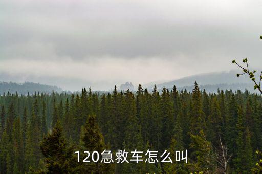 120急救車怎么叫