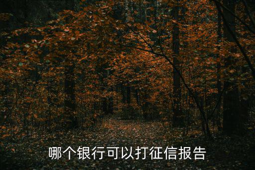 打征信報(bào)告去哪個(gè)銀行，個(gè)人征信報(bào)告可以去哪些銀行打印