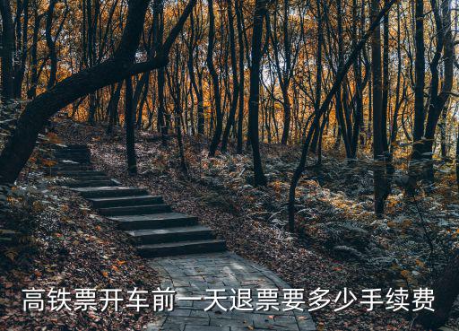 高鐵票退票手續費，高鐵票開車前一天退票要多少手續費