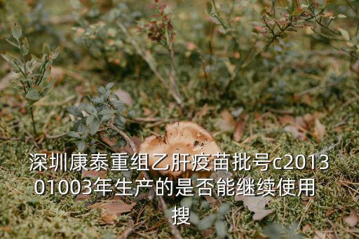 深圳康泰重組乙肝疫苗批號c201301003年生產(chǎn)的是否能繼續(xù)使用  搜