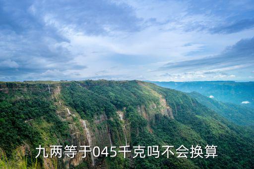 九兩等于045千克嗎不會換算