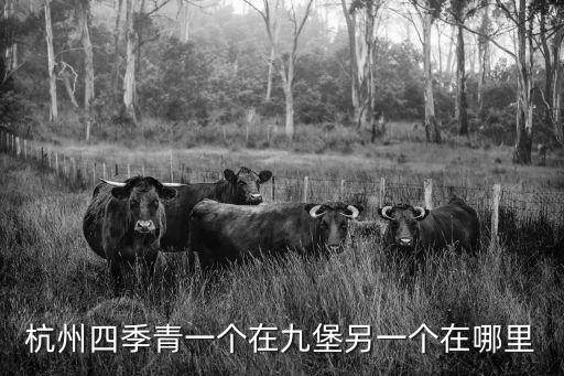 杭州四季青屬于什么區(qū)，請問杭州四季青的具體地址在哪