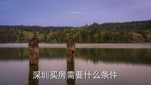 深圳買房需要什么條件