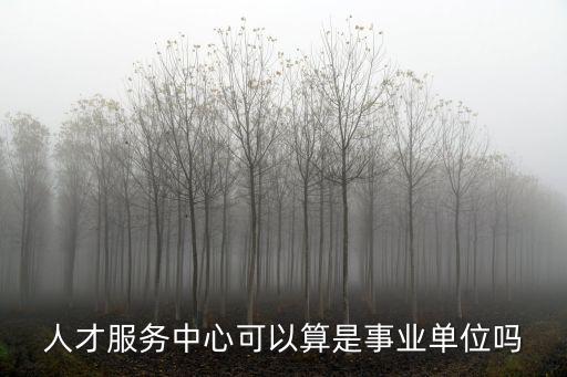 人才服務(wù)中心可以算是事業(yè)單位嗎