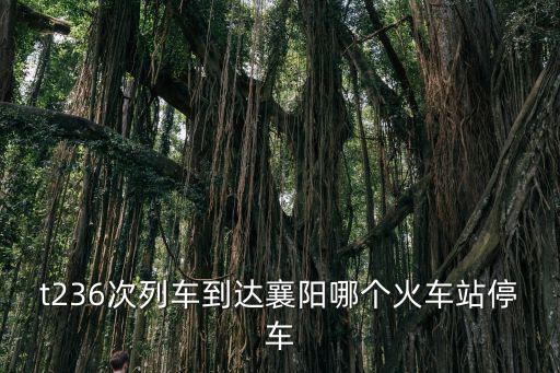 t236次列車到達襄陽哪個火車站停車