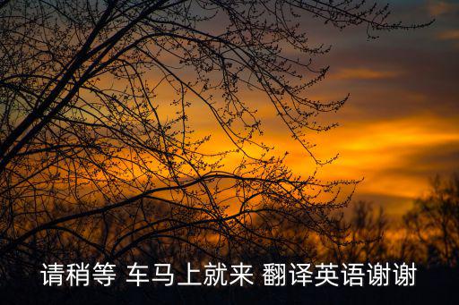 請稍等 車馬上就來 翻譯英語謝謝