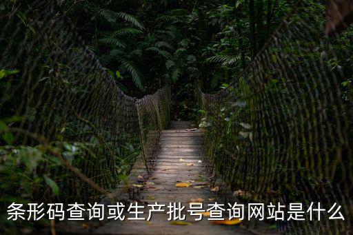 查詢網址，條形碼查詢或生產批號查詢網站是什么
