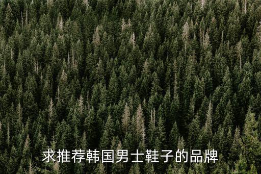 求推薦韓國男士鞋子的品牌