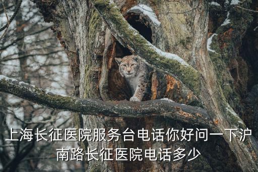 上海長征醫(yī)院電話，上海長征醫(yī)院在哪條路