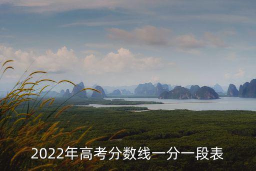 2022年高考分數(shù)線一分一段表