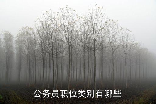 公務(wù)員職位類別有哪些