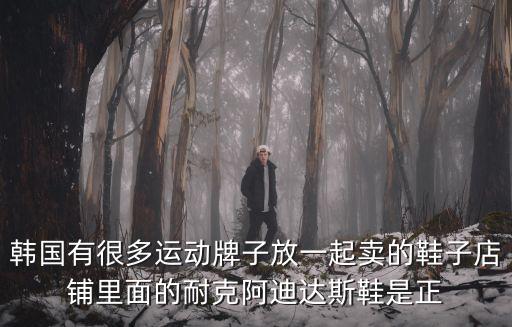 韓國有很多運動牌子放一起賣的鞋子店鋪里面的耐克阿迪達斯鞋是正