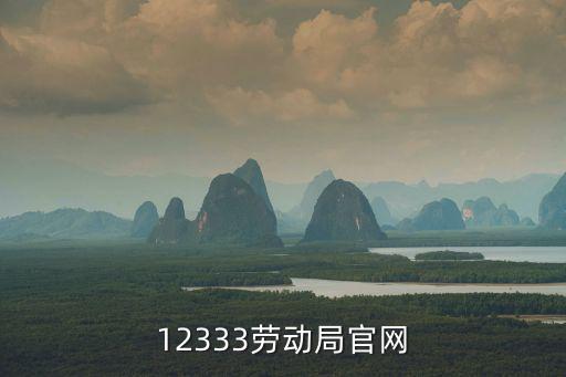 12333勞動(dòng)局官網(wǎng)