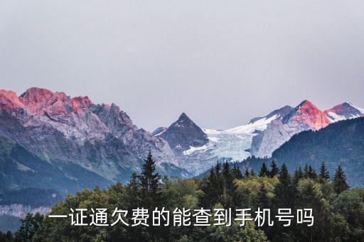 一證通欠費的能查到手機號嗎