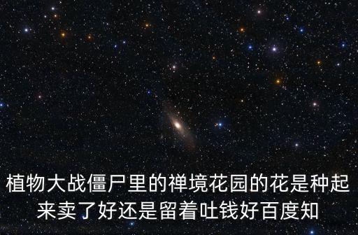植物大戰僵尸里的禪境花園的花是種起來賣了好還是留著吐錢好百度知