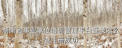 湖南省事業單位培訓管理平臺登錄怎么查注冊成功