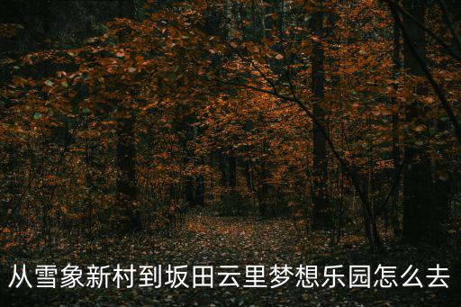 云里夢想樂園，云里夢想園摩天輪是單人座還是雙人座