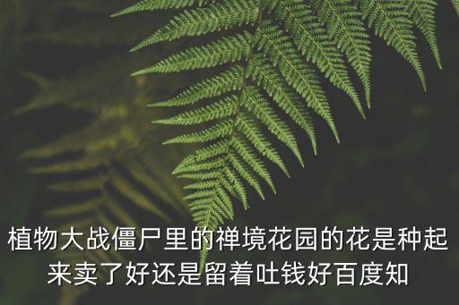 禪境花園，植物大戰(zhàn)僵尸1禪境花園怎么擁有