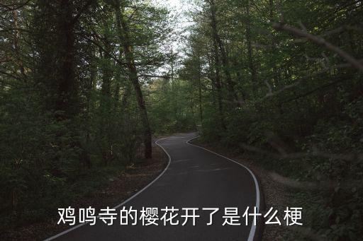 雞鳴寺櫻花開了嗎，聽聞雞鳴寺的櫻花開了什么梗