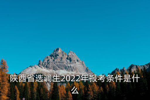 陜西省選調(diào)生2022年報考條件是什么