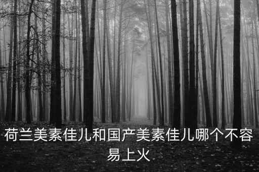 荷蘭美素佳兒和國產(chǎn)美素佳兒哪個不容易上火