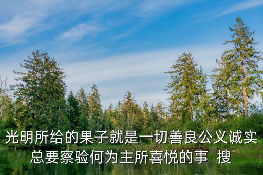 光明所給的果子就是一切善良公義誠實總要察驗何為主所喜悅的事  搜
