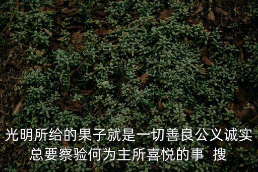 光明三寶，光明磊落是什么生肖