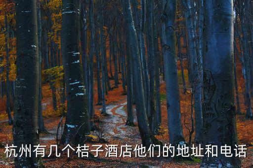 杭州桔子酒店，杭州有幾個桔子酒店他們的地址和電話