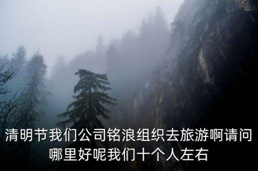清明節我們公司銘浪組織去旅游啊請問哪里好呢我們十個人左右
