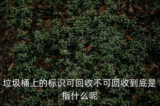 垃圾桶上的標識可回收不可回收到底是指什么呢