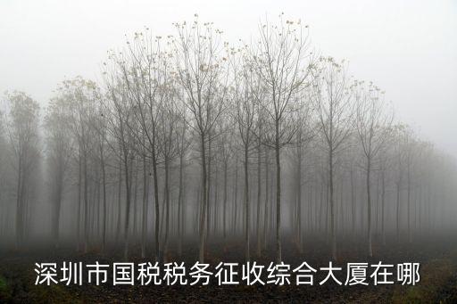 深圳市國(guó)稅稅務(wù)征收綜合大廈在哪