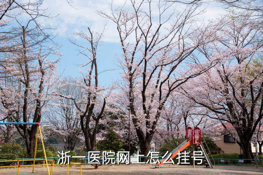 浙一醫院網上怎么掛號