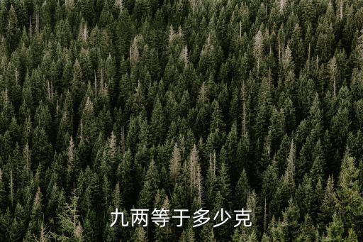 九兩等于多少克