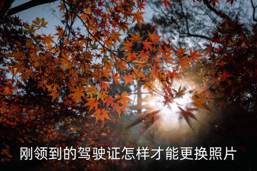 剛領到的駕駛證怎樣才能更換照片