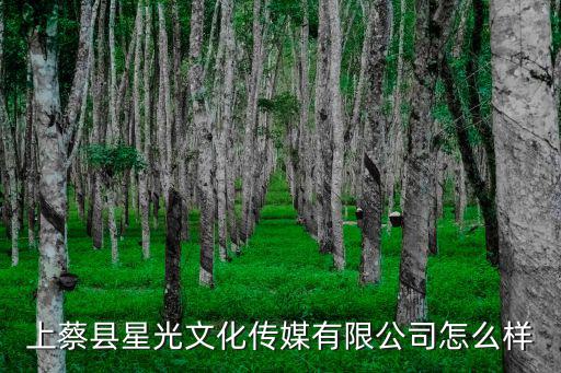 星光文化，上蔡縣星光文化傳媒有限公司怎么樣