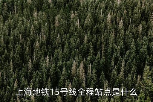 上海地鐵15號線全程站點(diǎn)是什么