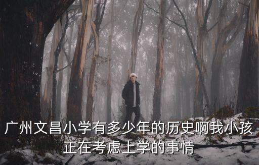 廣州文昌小學(xué)有多少年的歷史啊我小孩正在考慮上學(xué)的事情