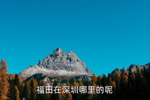 福田在深圳哪里的呢