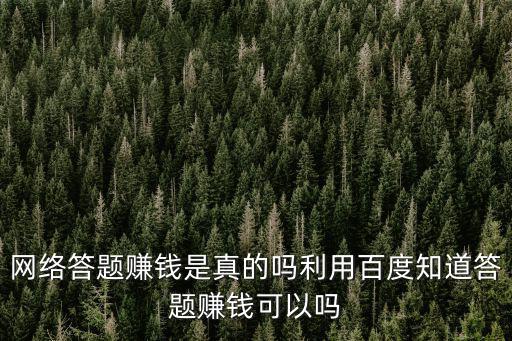 網(wǎng)絡(luò)答題賺錢(qián)是真的嗎利用百度知道答題賺錢(qián)可以嗎