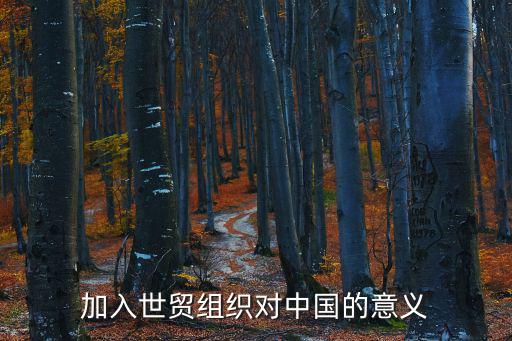 加入世貿組織對中國的意義